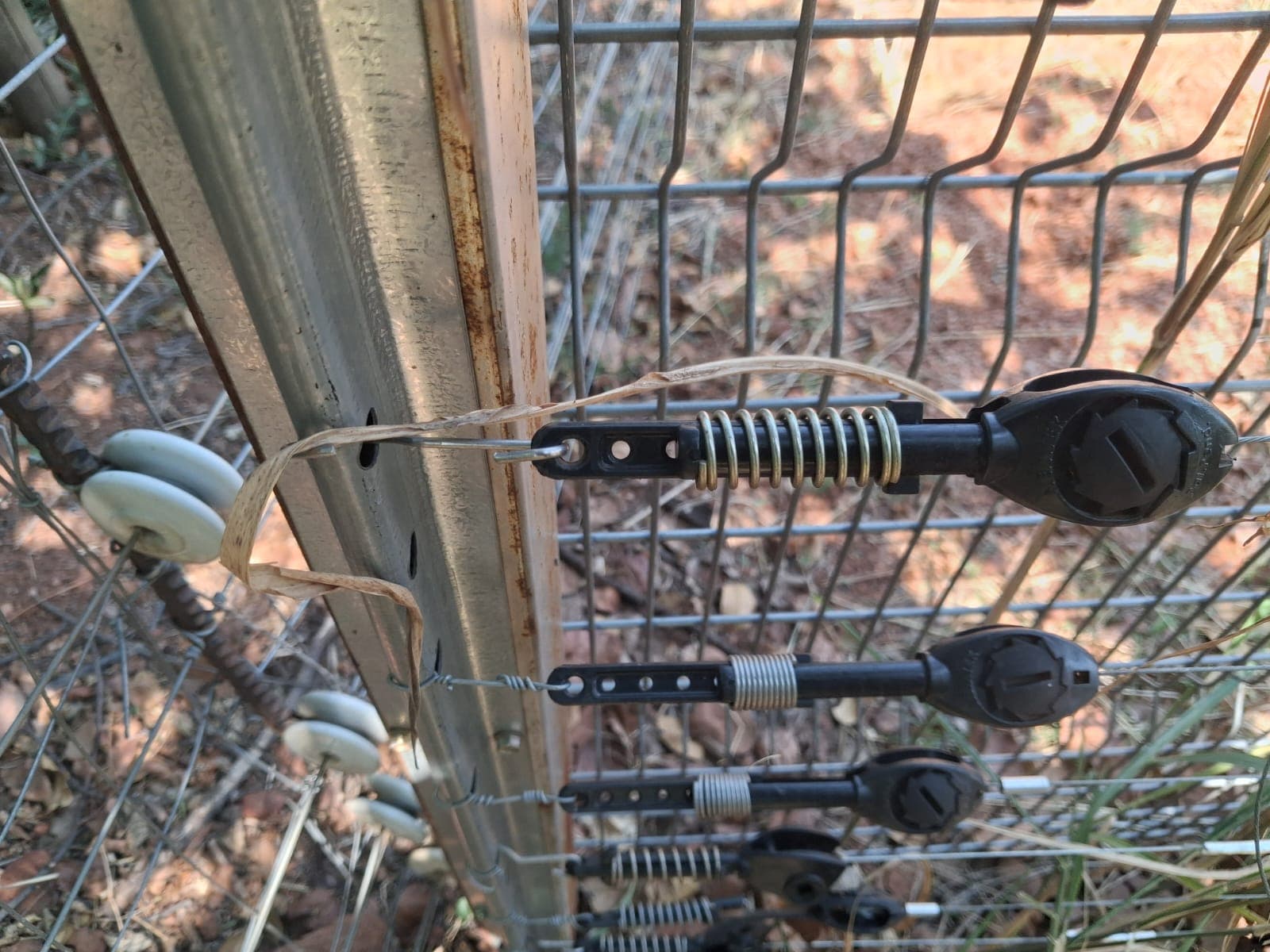Close-up of electric fence tensioners with springs and wires attached to a metal post.